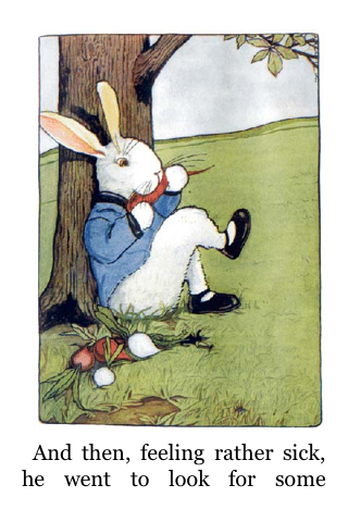 peterrabbit 003.png