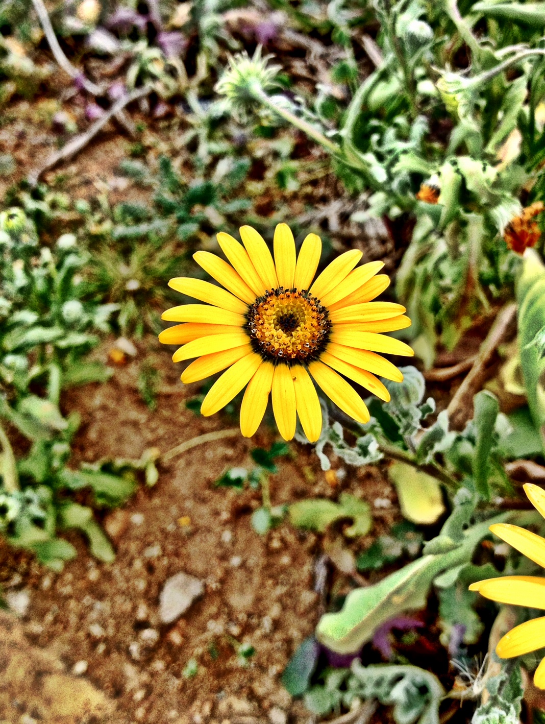 photo 1.JPG