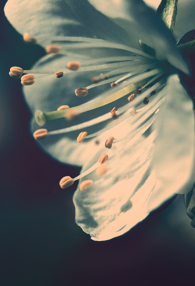 photo-1.JPG