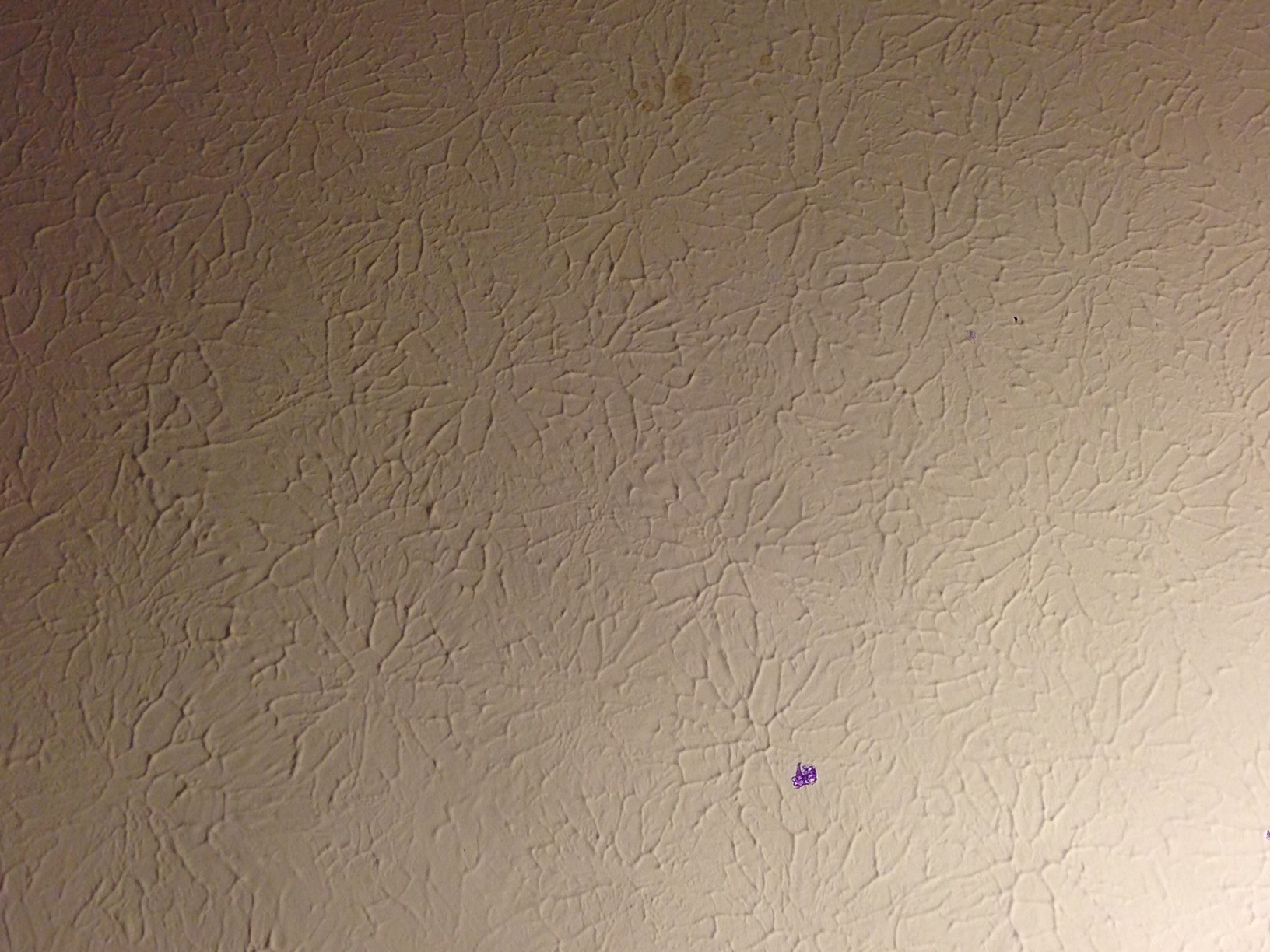 photo-10.JPG