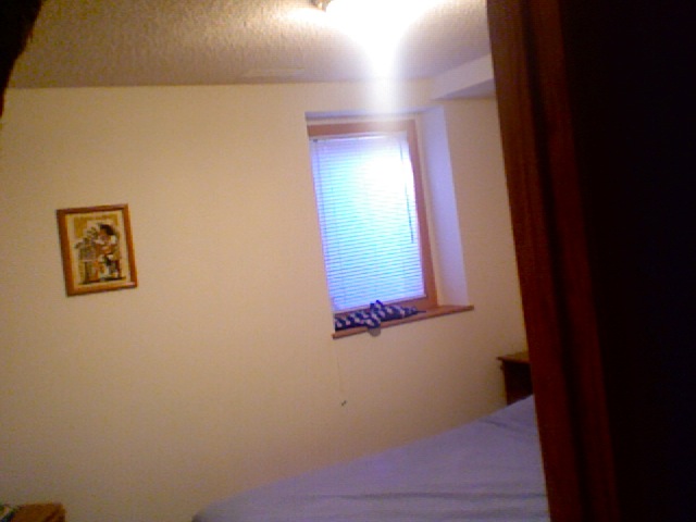 Photo 11.jpg