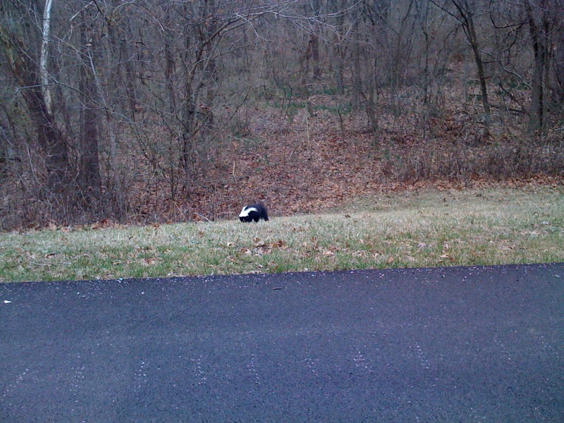 photo-18.jpg