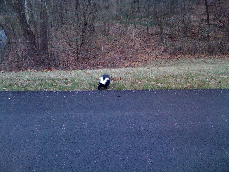 photo-19.jpg