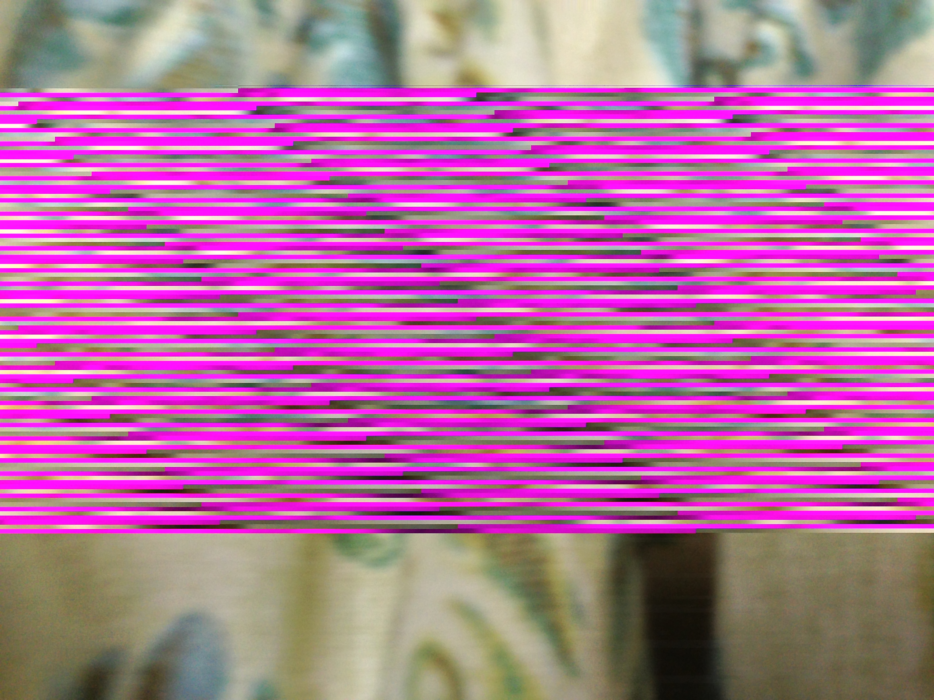 photo 2.JPG