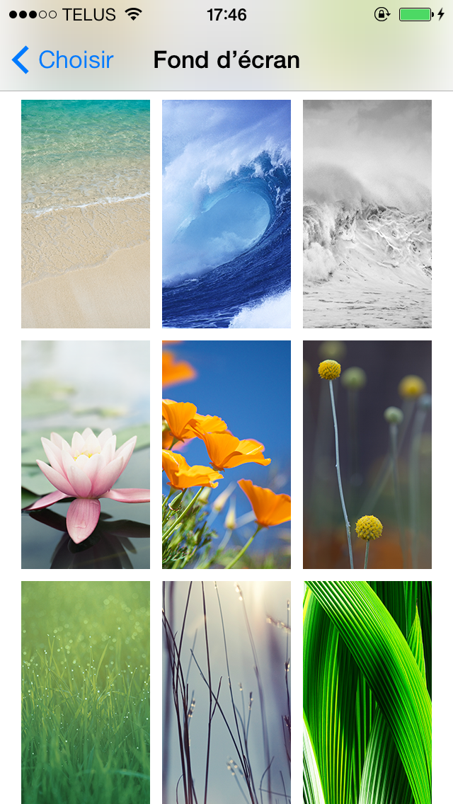 photo 2.PNG
