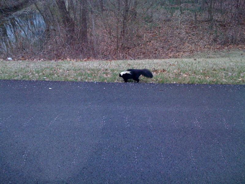 photo-20.jpg