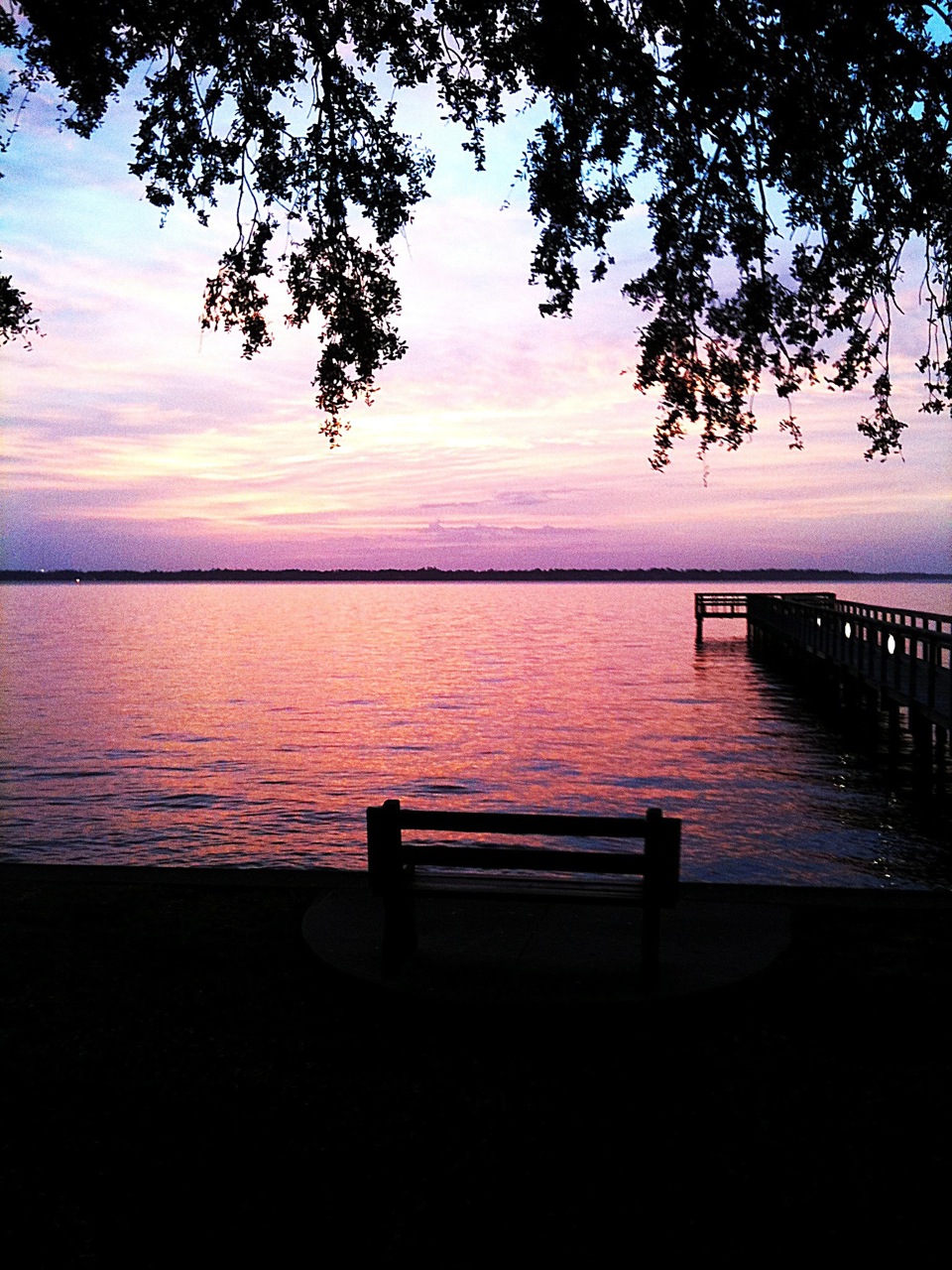 photo 3.jpg