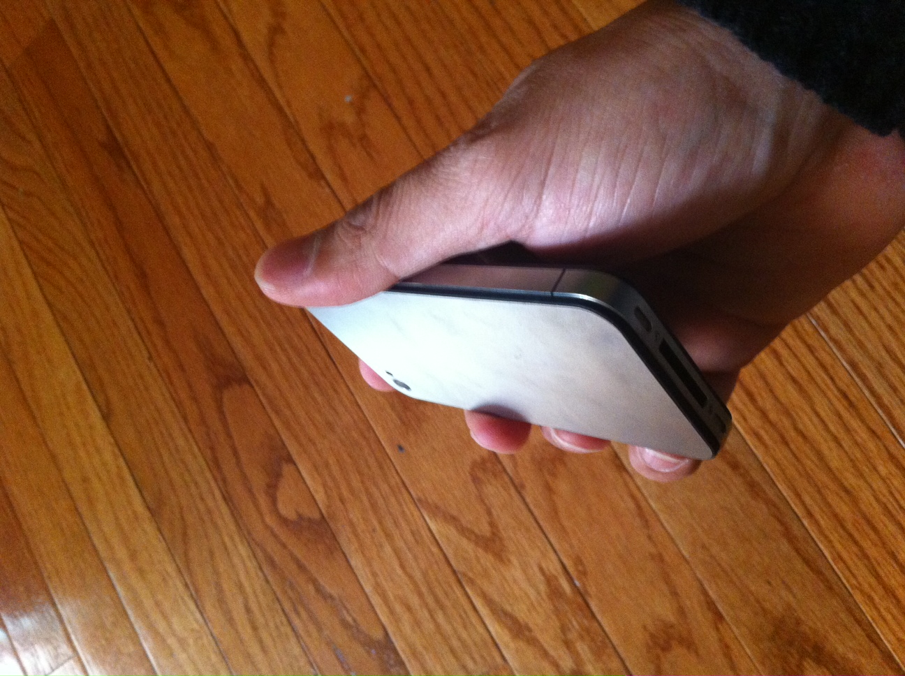 photo 5.JPG