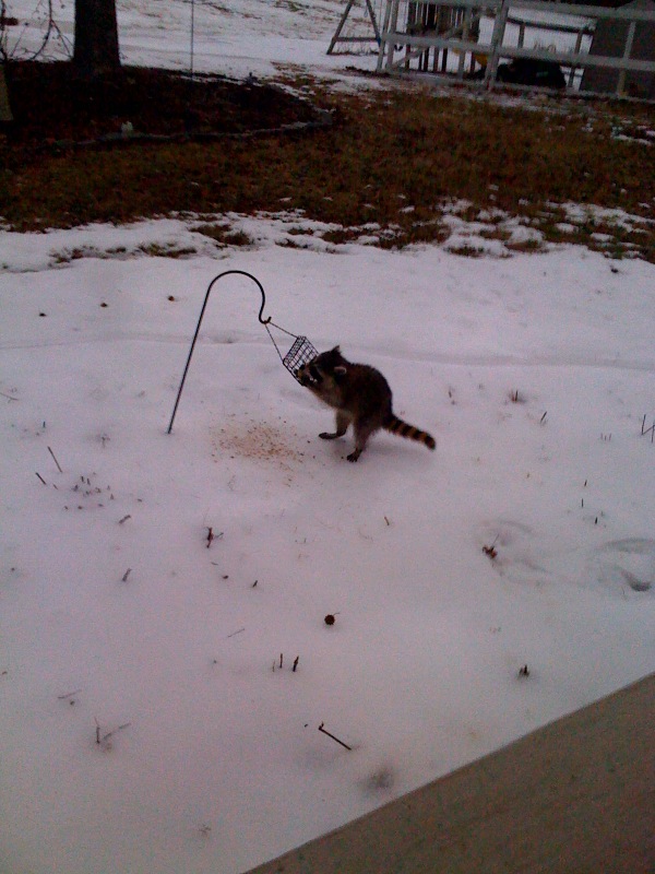 photo-9.jpg