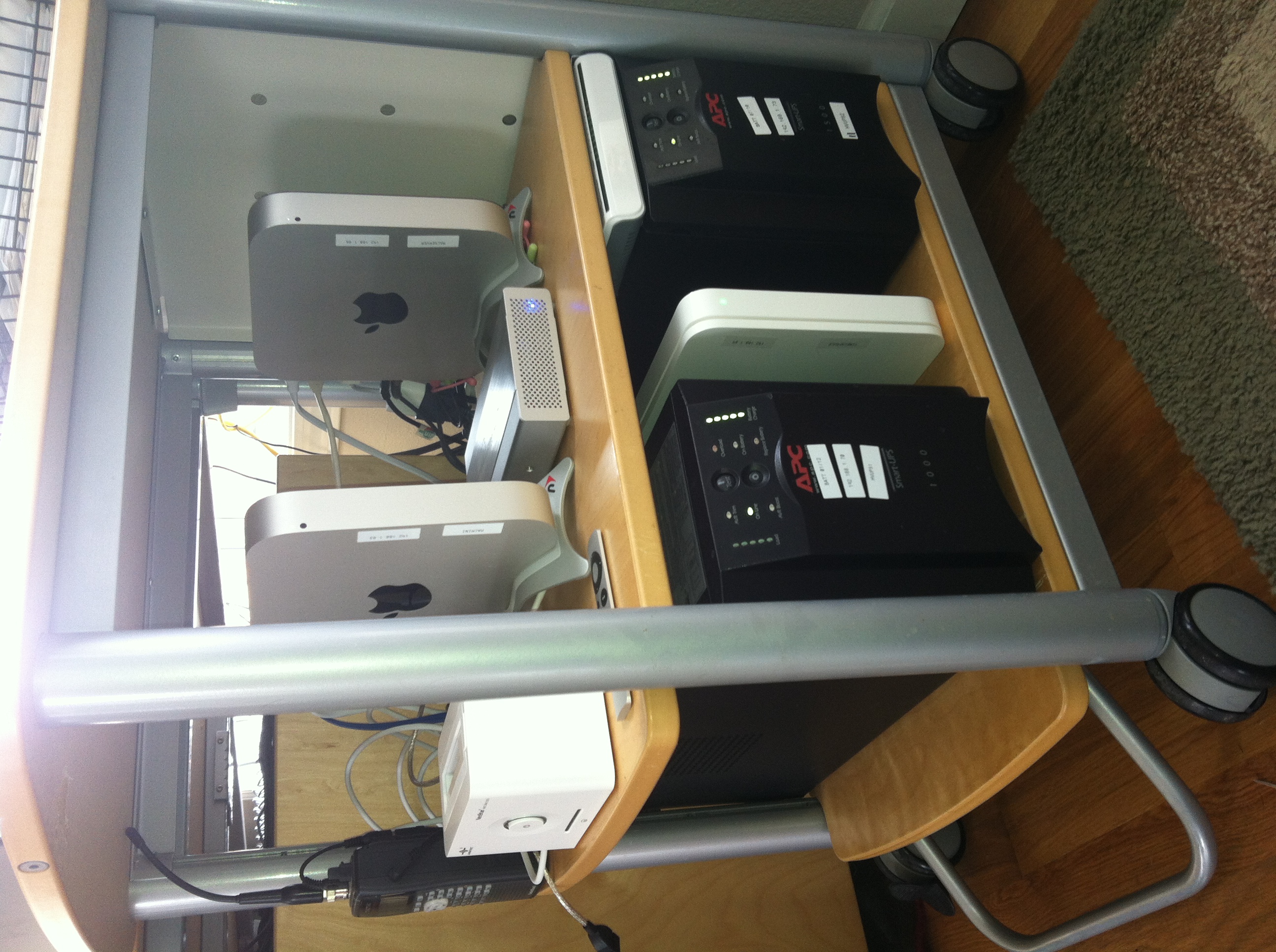 photo.jpeg