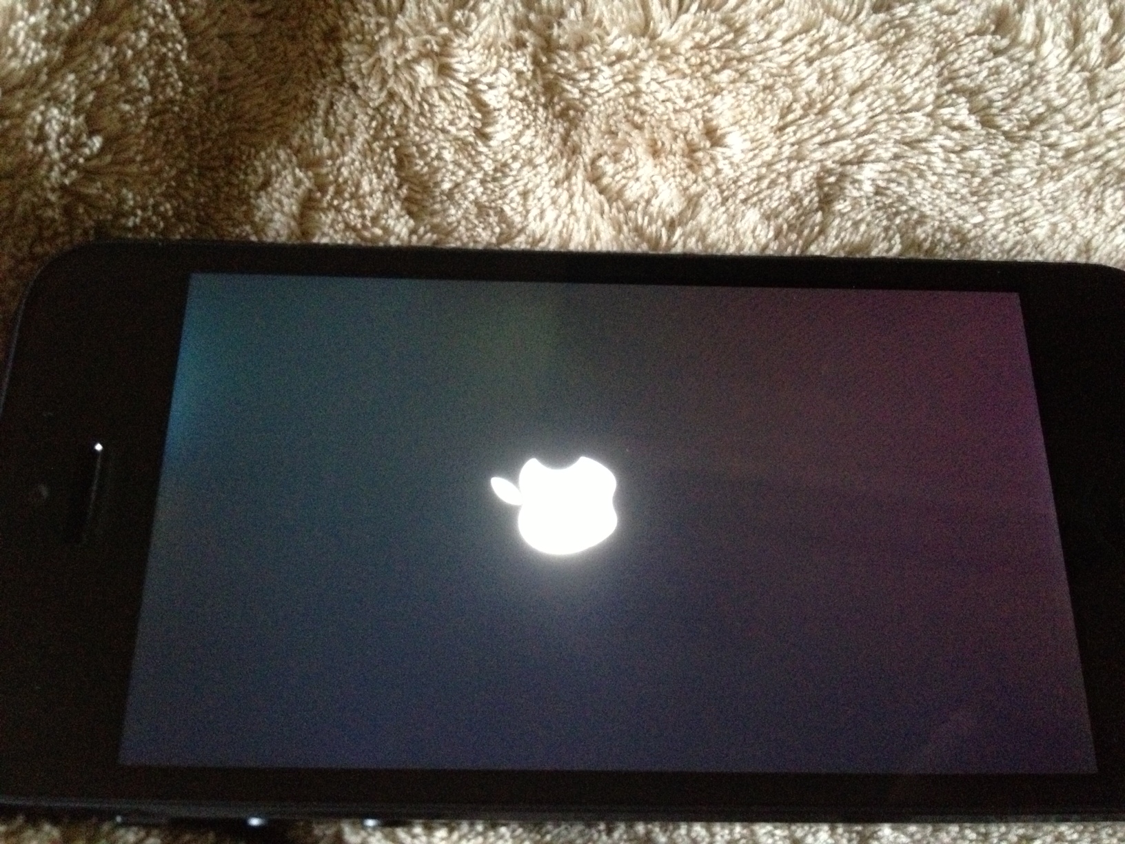 photo.jpeg