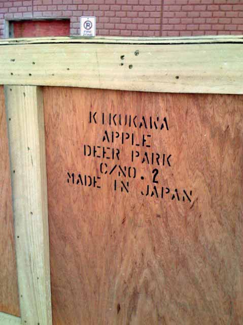 photo.jpg