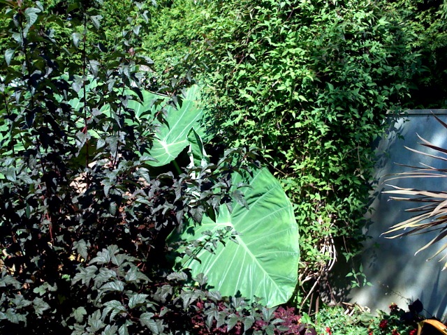 photo.jpg