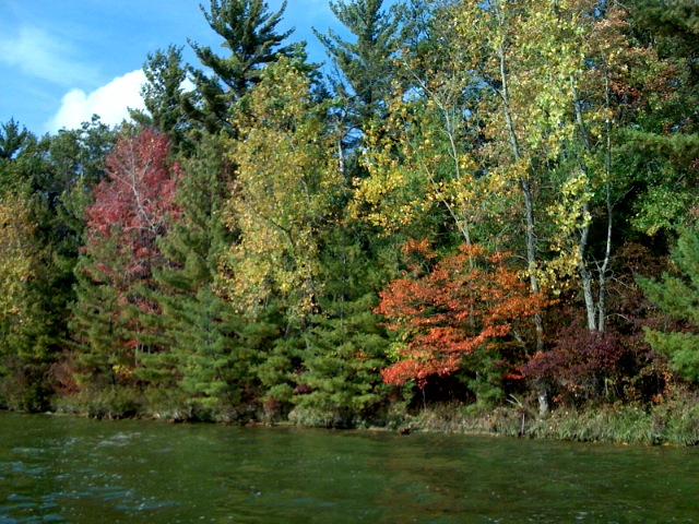 photo.jpg