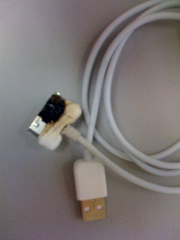 photo.jpg