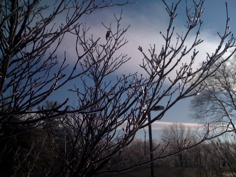 photo.jpg