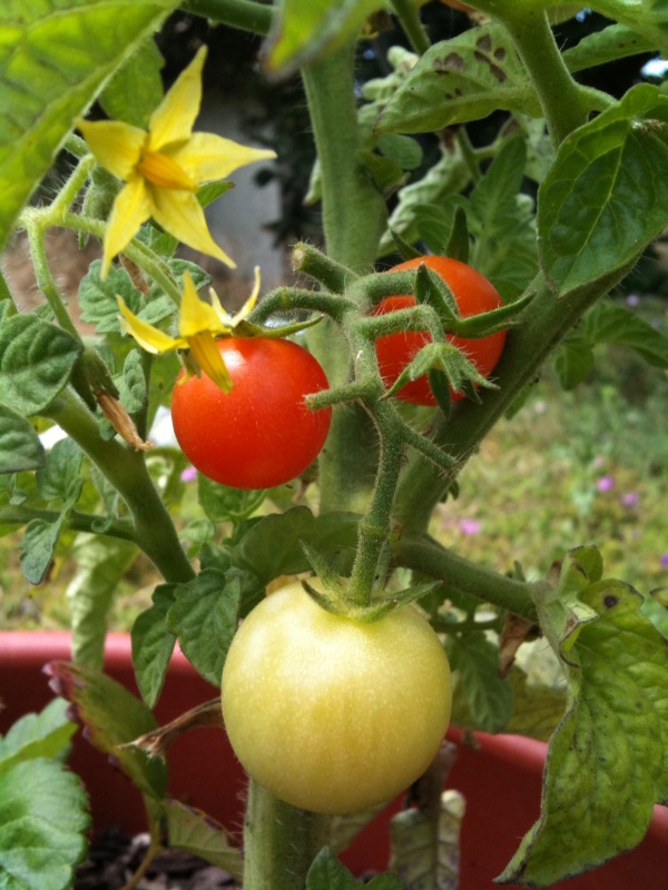 photo.jpg