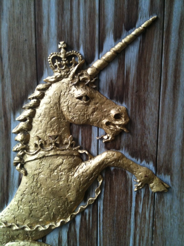 photo.jpg