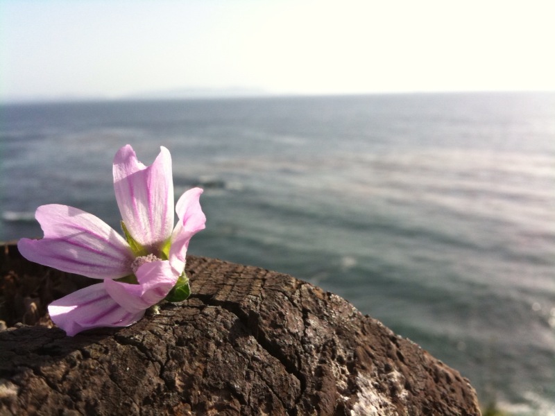 photo.jpg