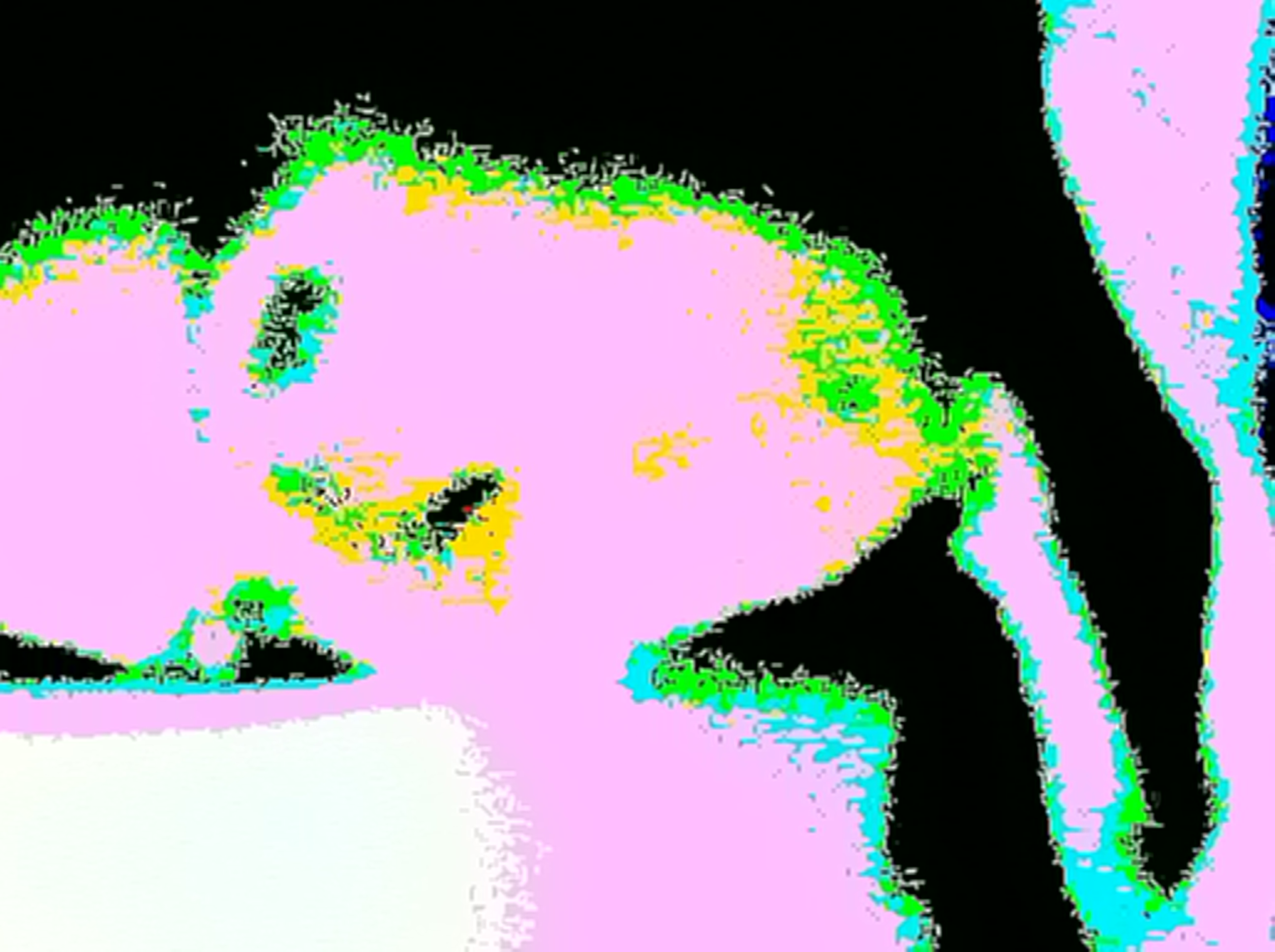 photo.JPG