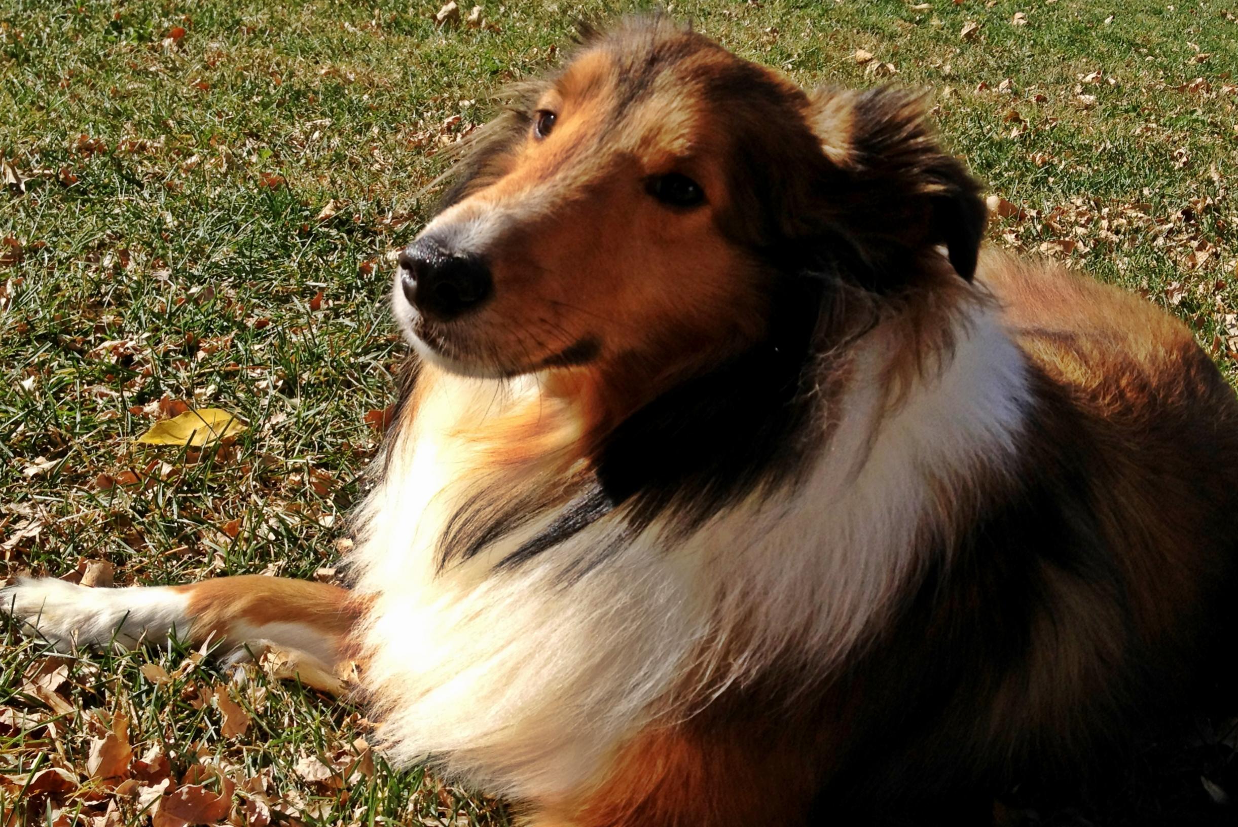 photo.jpg