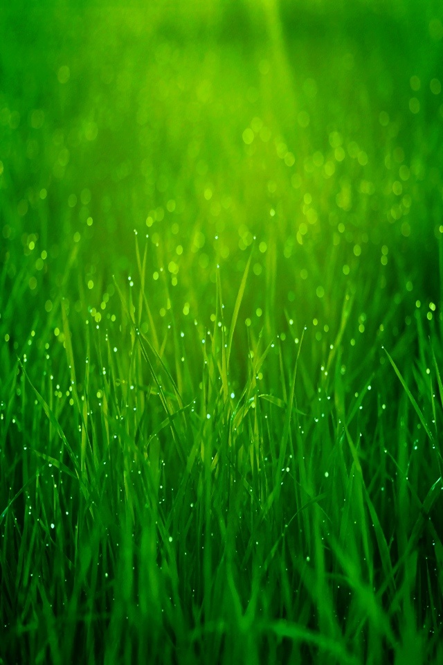 photo.JPG