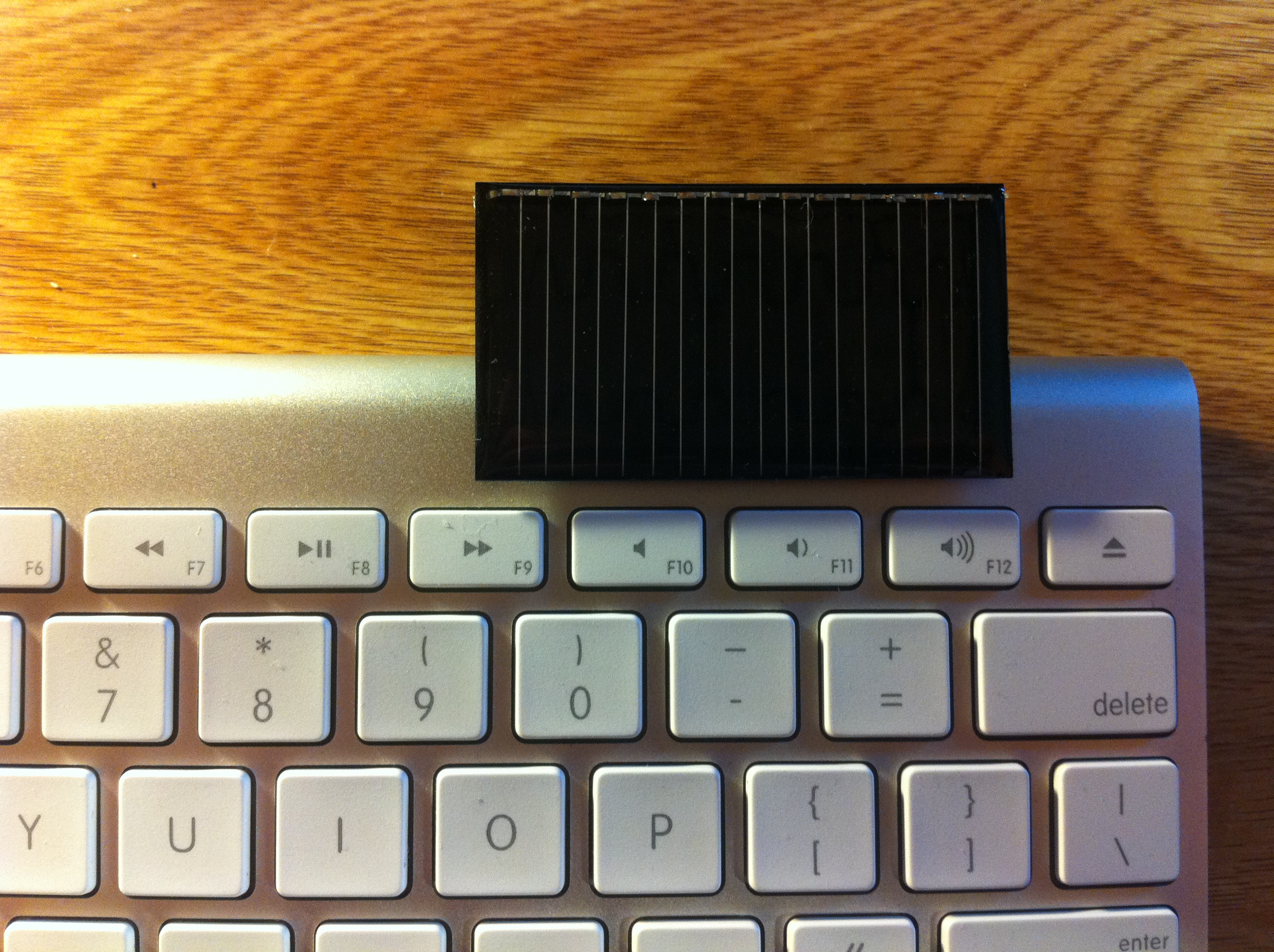 photo.JPG