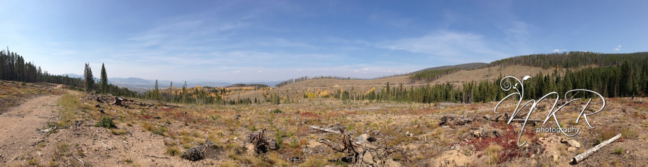 photo.jpg
