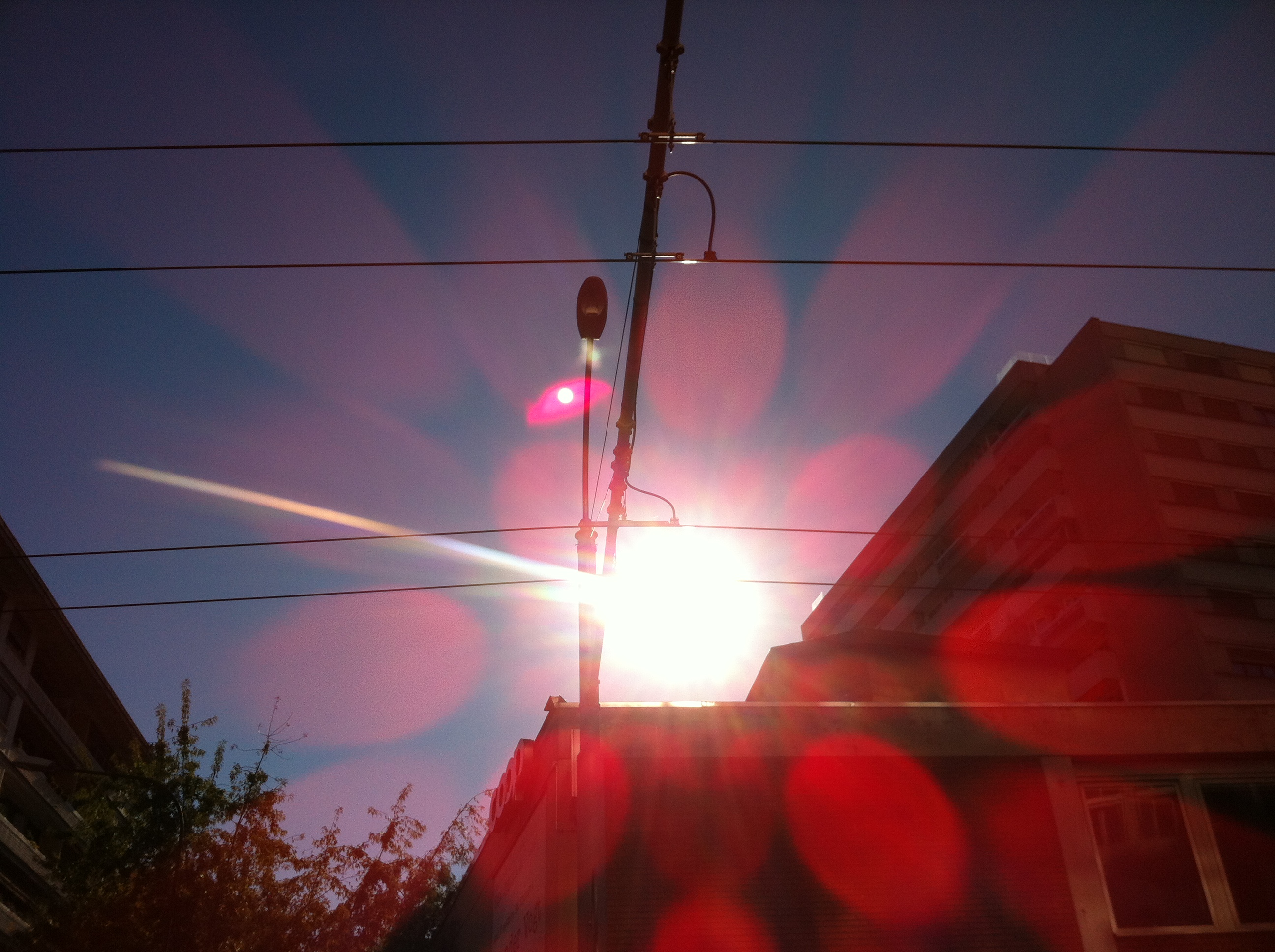 photo.JPG