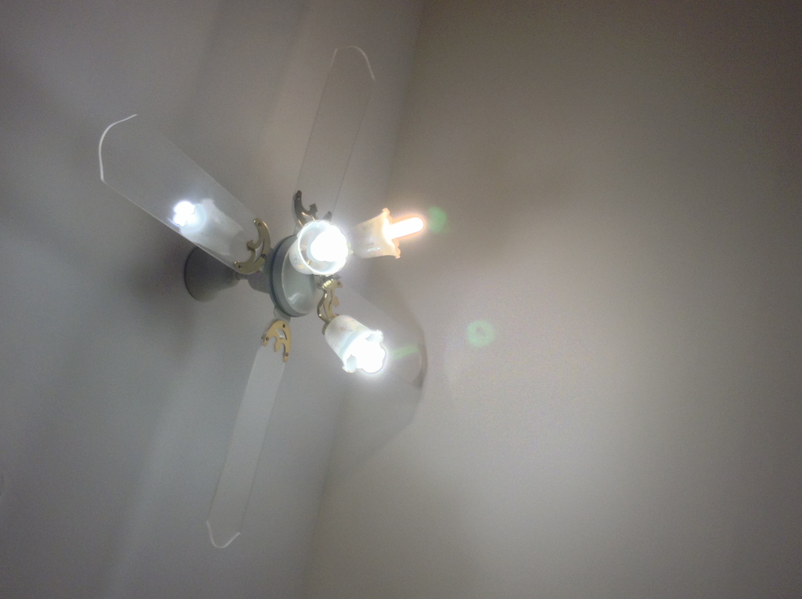 photo.JPG