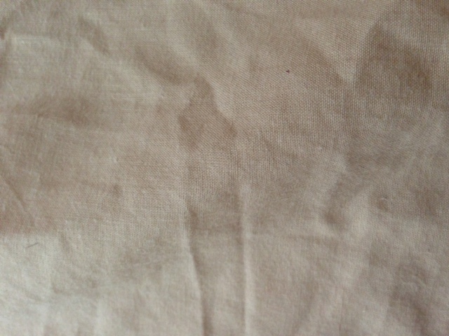photo.JPG