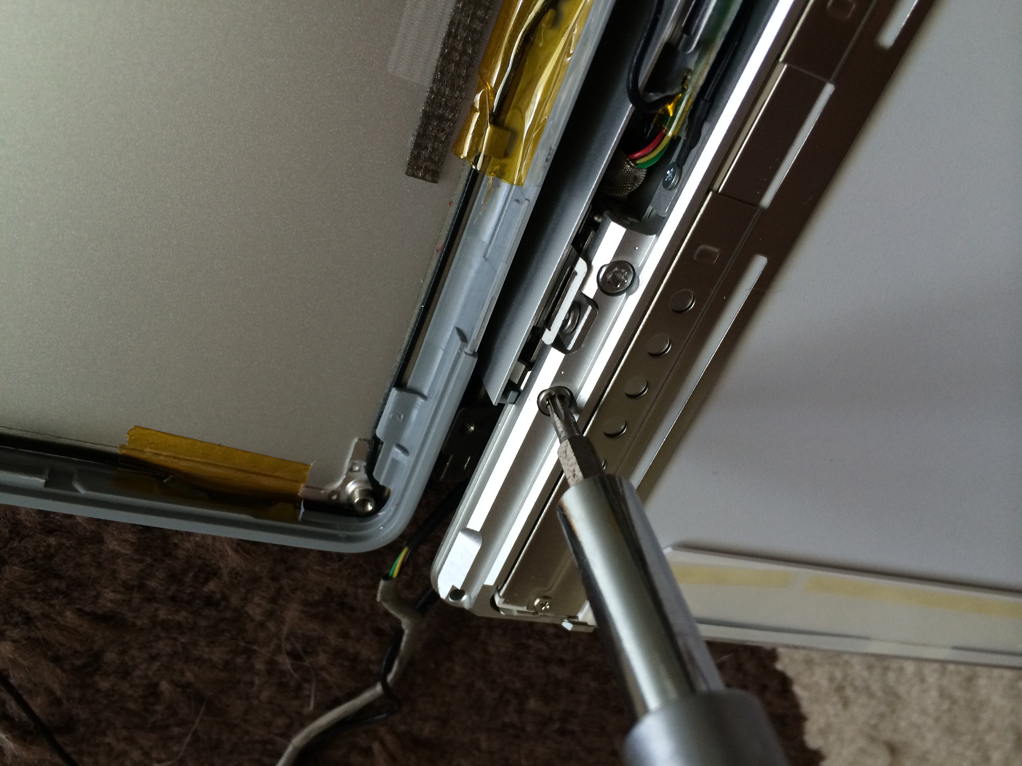 Photo Jun 23, 4 56 52 PM.jpg