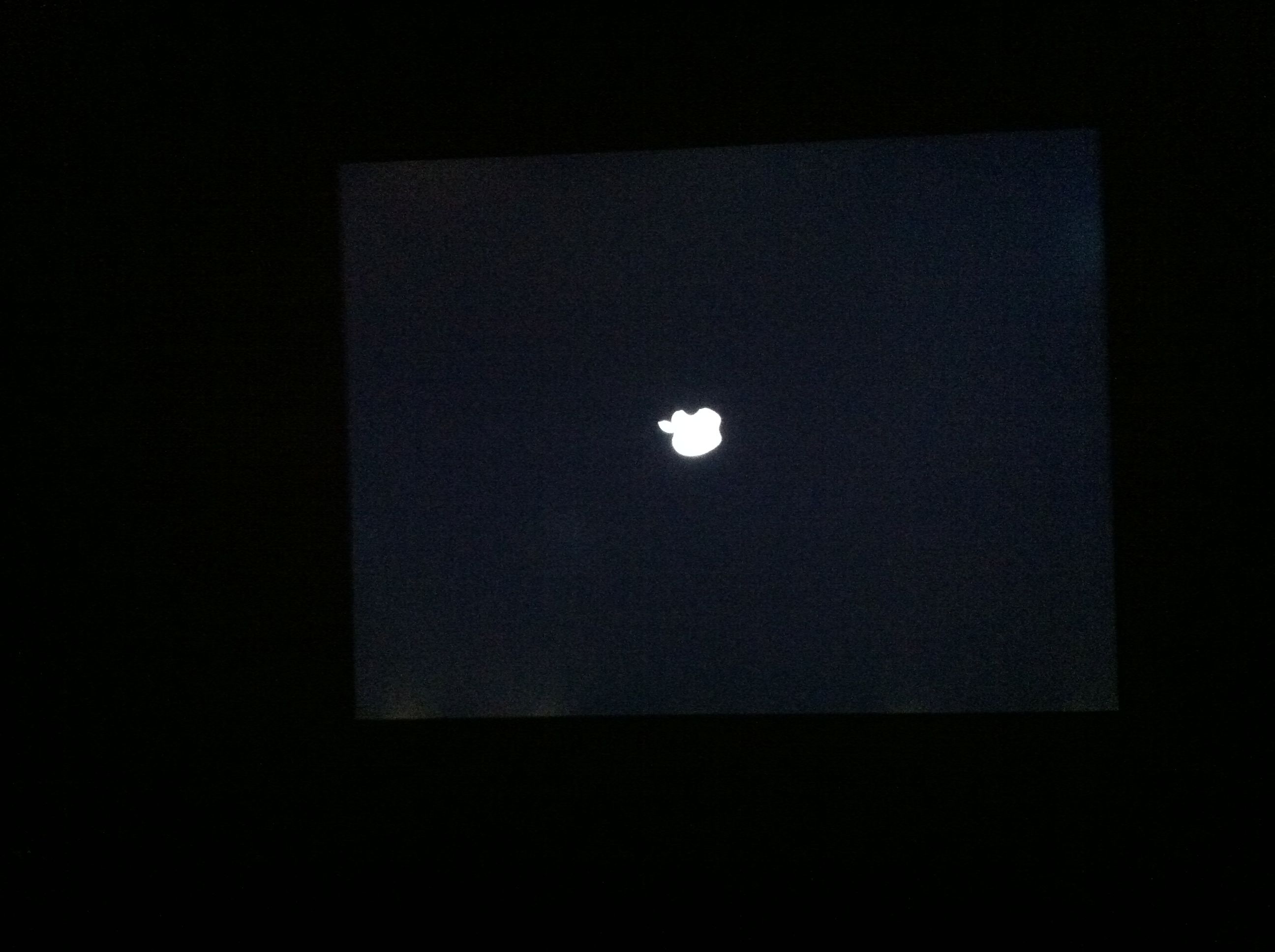 Photo Mar 25, 10 31 50 AM.jpg