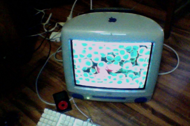 Photo on 10-16-12 at 3.45 PM.jpg