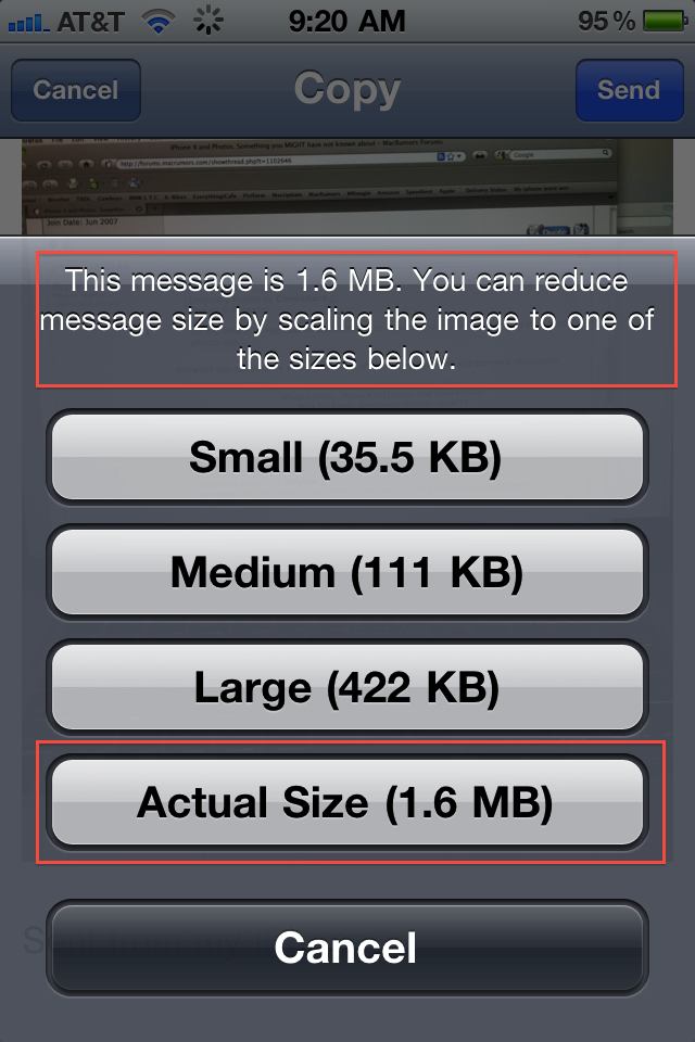 photo.PNG