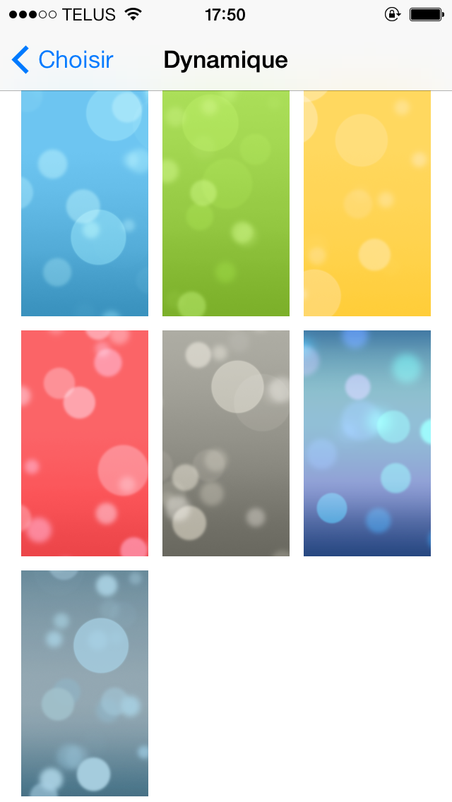 photo.PNG