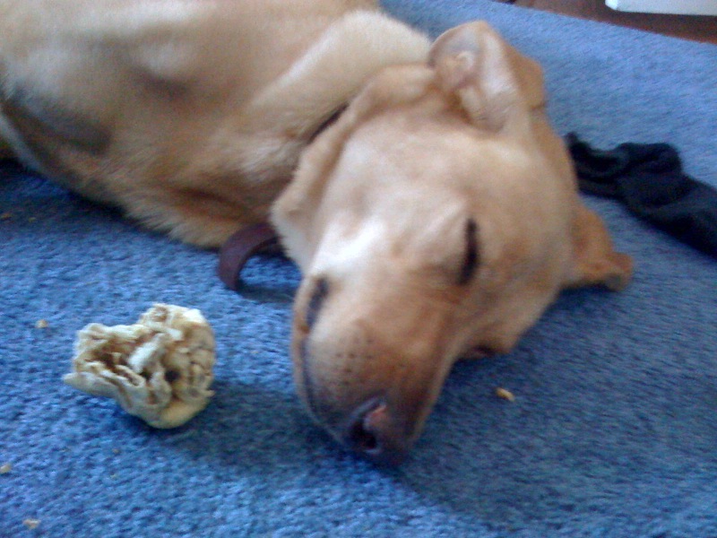 photo1.jpg