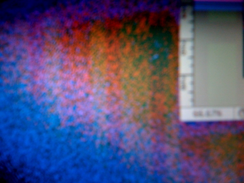 photo1.jpg