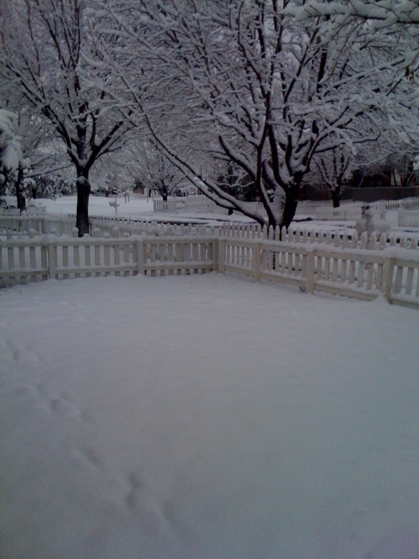 photo1.jpg