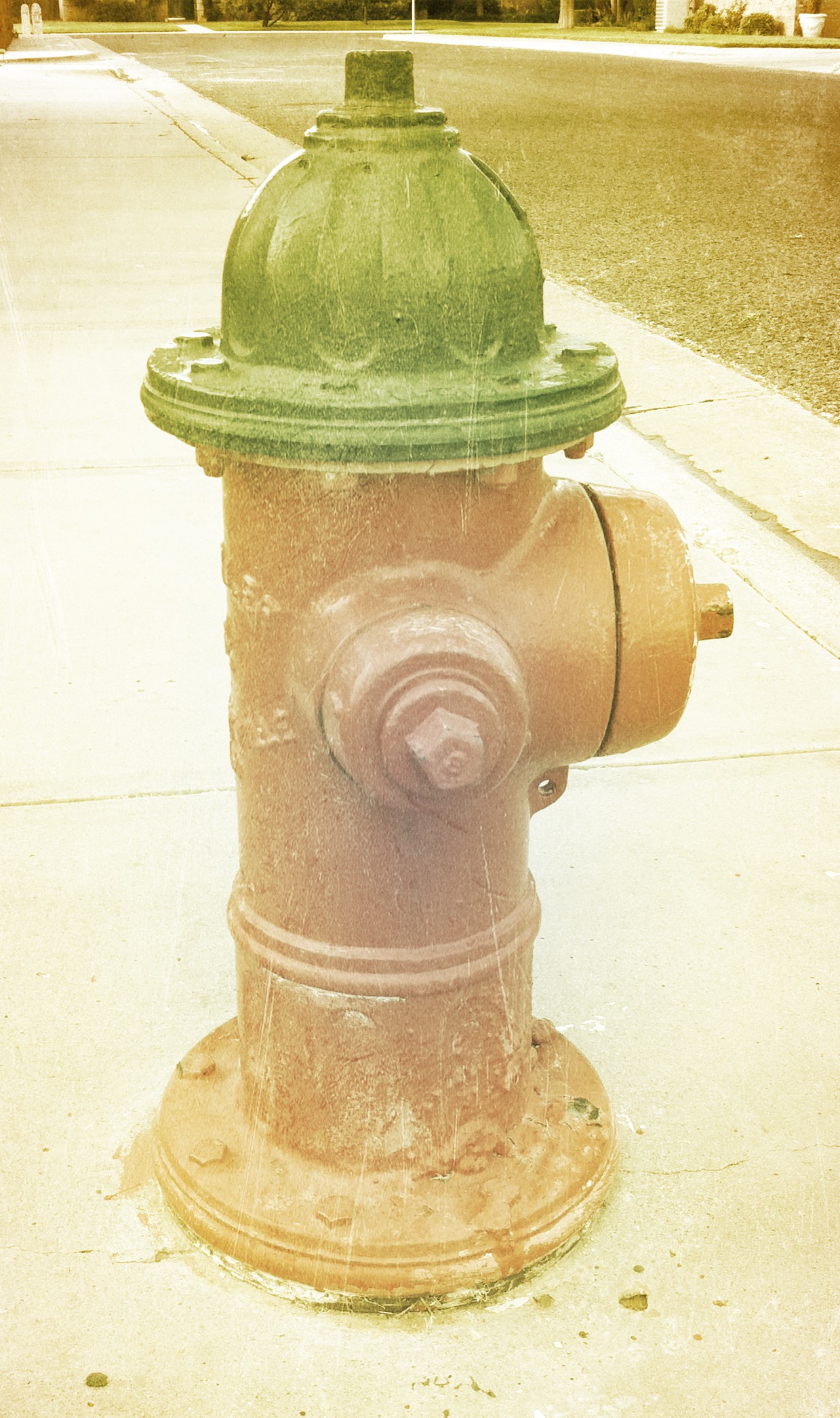Photo1.jpg