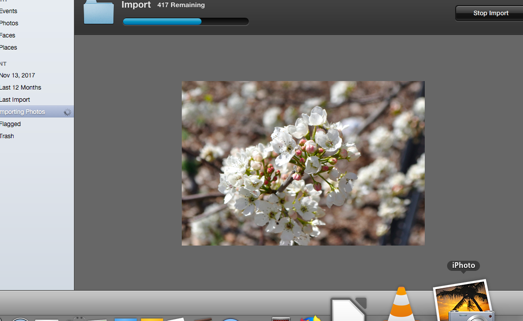 photo11 pic.png