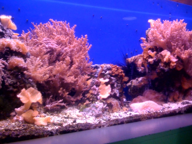 photo2.jpg