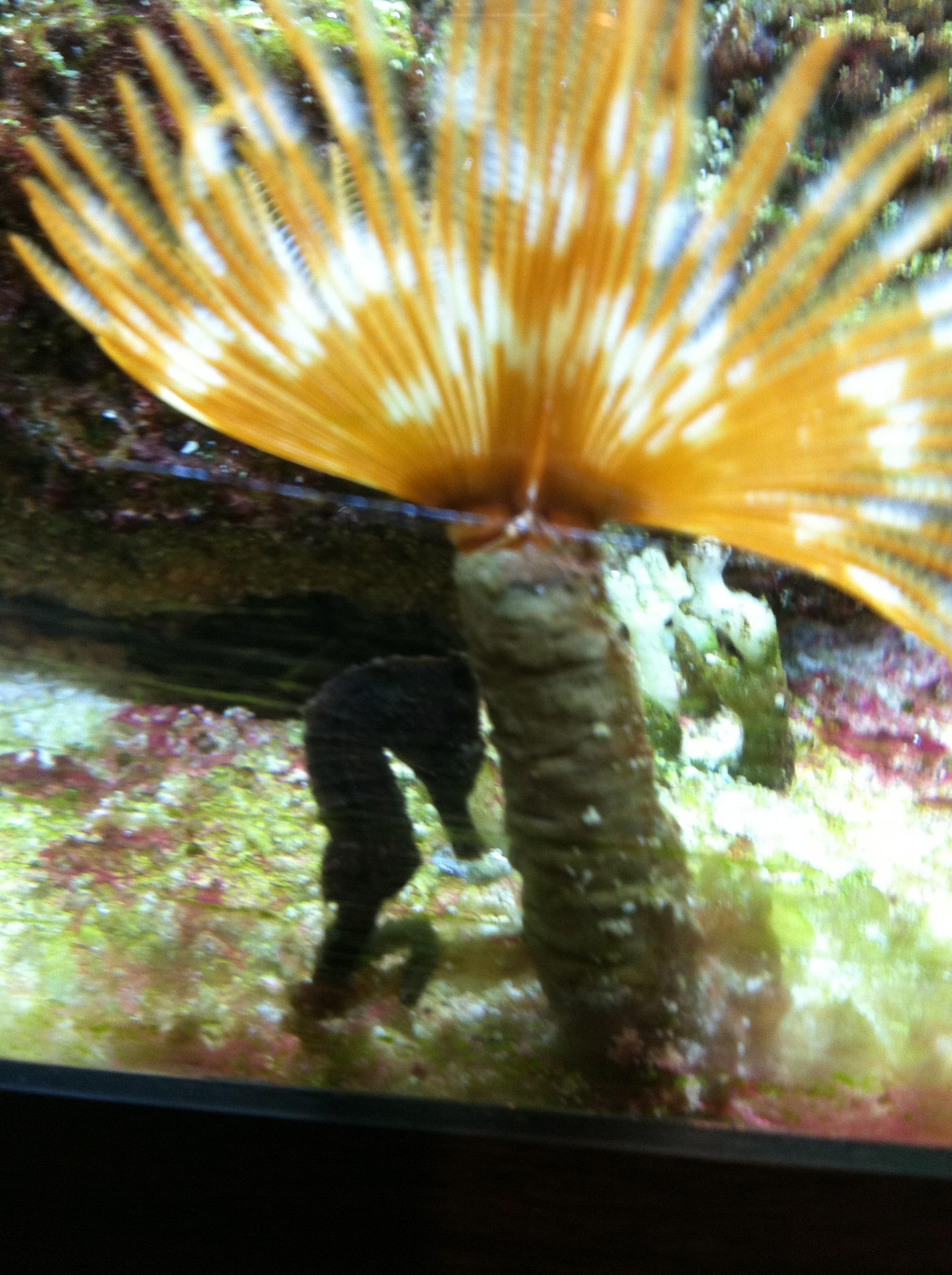 Photo2.jpg