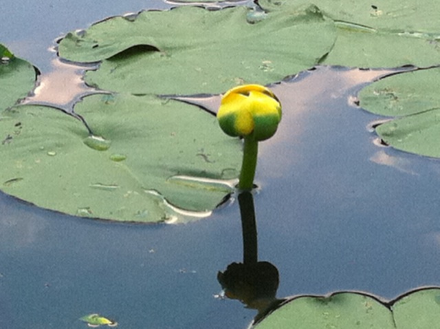 photo3.JPG