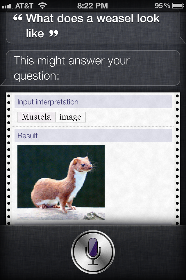 photo4.PNG