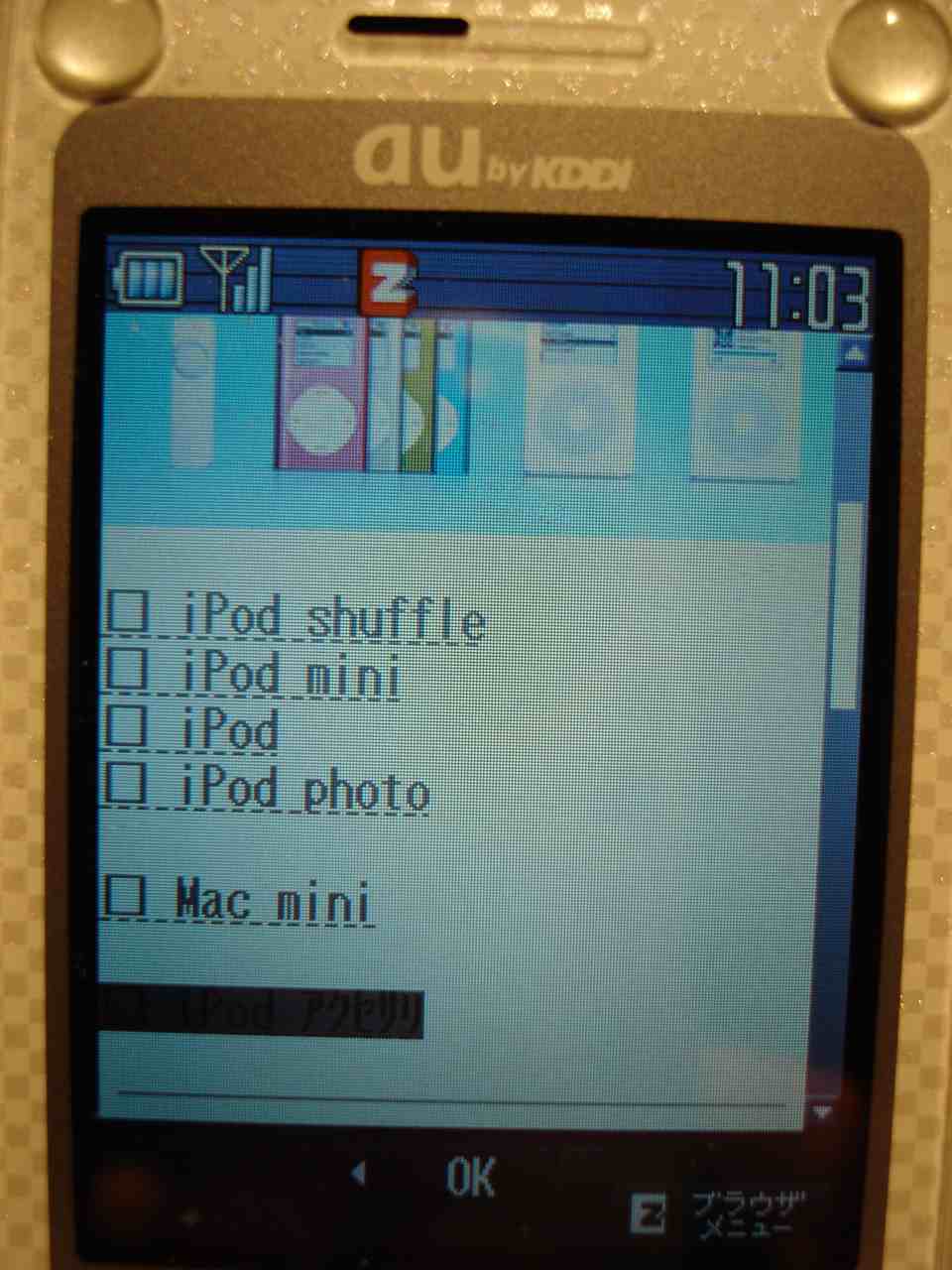 pic3.jpg