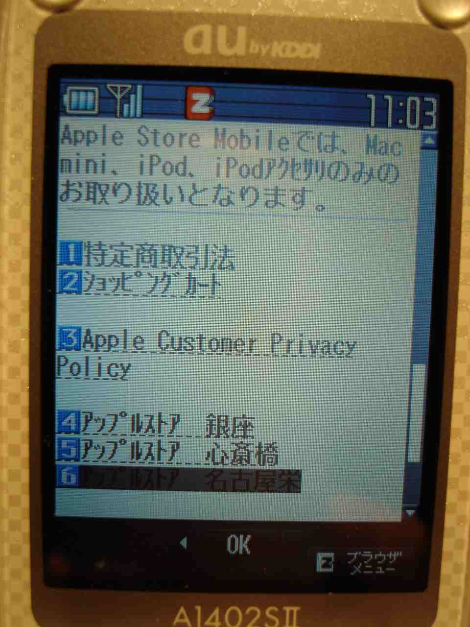 pic4.jpg