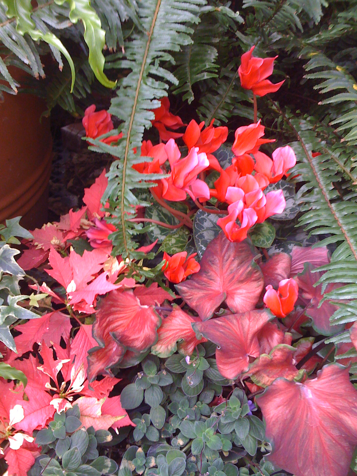 Picture 020.jpg