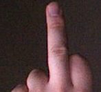 Picture 1.jpg