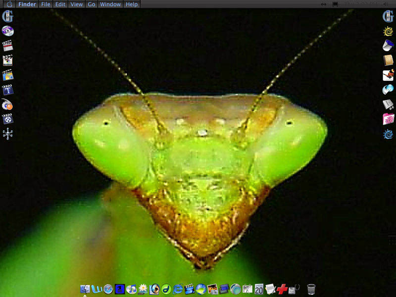 Picture 1.jpg